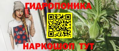a pvp Лесосибирск