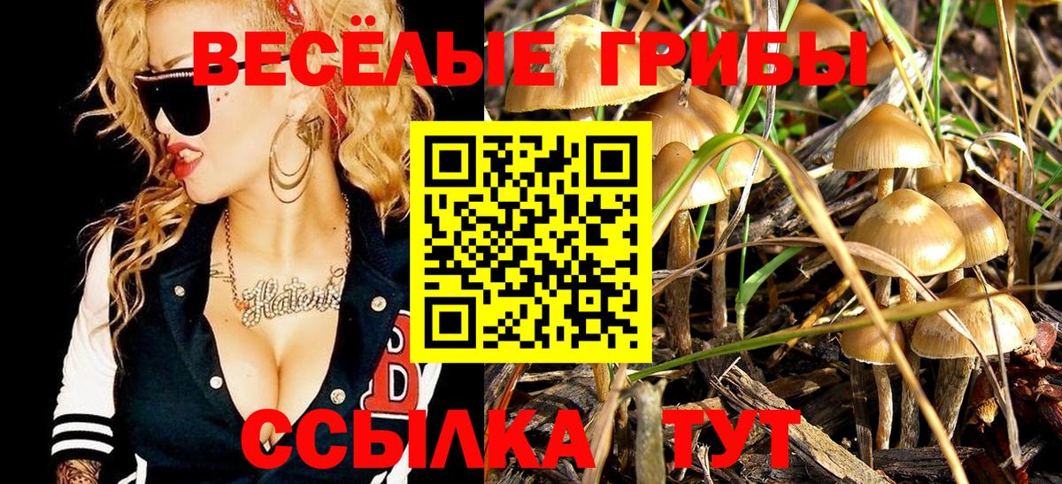 Псилоцибиновые грибы Psilocybe Горячий Ключ